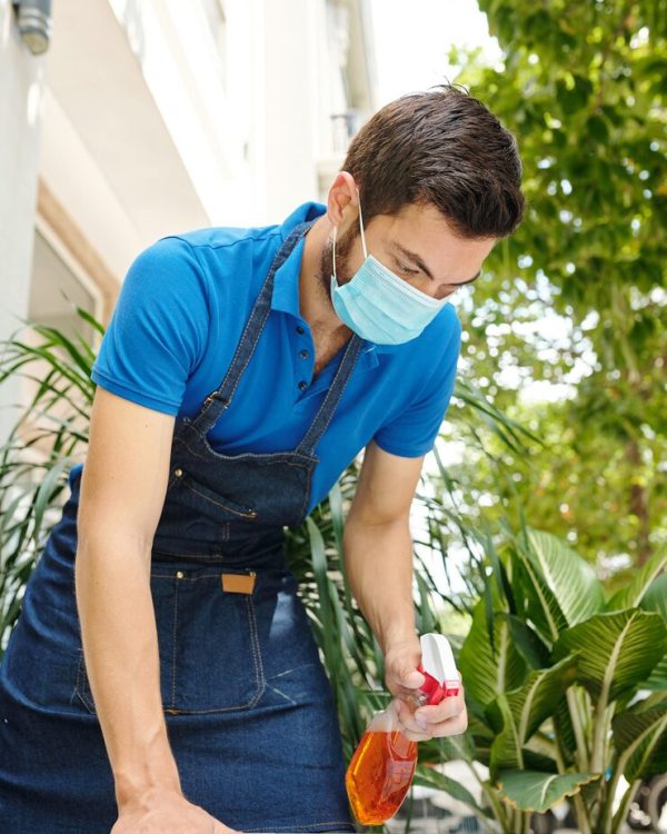 imgi_20_serious-waiter-protective-mask-disinfecting-tables-outdoor-cafe_274689-18444